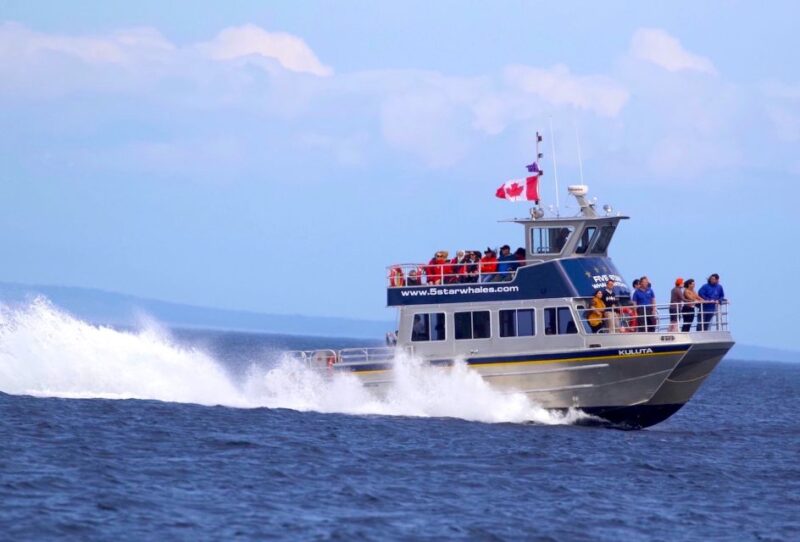 Whale Watching Tour in Victoria, BC - Wildlife Experience