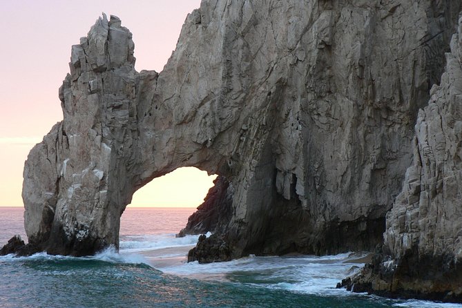 Whale Watching Tour on a Pontoon Experiencing the Most Magical Gift of Nature! - Included Amenities