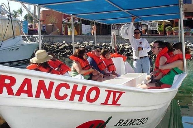 Whale Watching Tour on a Pontoon Experiencing the Most Magical Gift of Nature! - Traveler Capacity