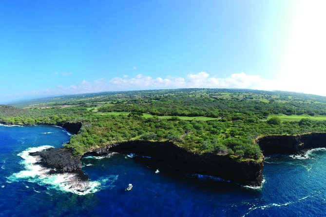 Whale Watching Tour: Whales Guaranteed in Kona Waikoloa - Tour Highlights