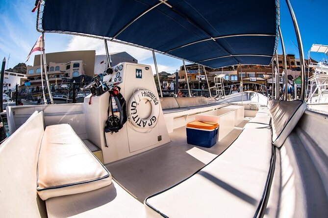 Whale Watching With Hydrophone in Cabo San Lucas - Whale Watching Experiences