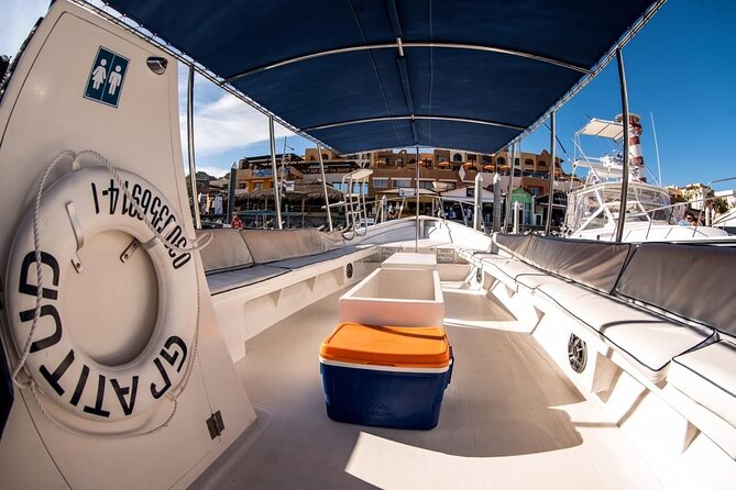 Whale Watching With Hydrophone in Cabo San Lucas - Marine Biologist Expertise
