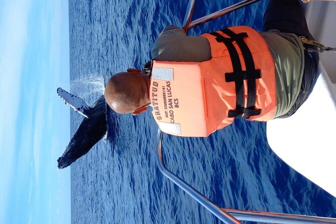 Whale Watching With Hydrophone in Cabo San Lucas - Landmarks and Scenery