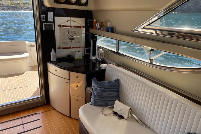 Whales and Dolphins Excursion on a Luxury Yacht in Canary Islands - Transportation and Meeting Details