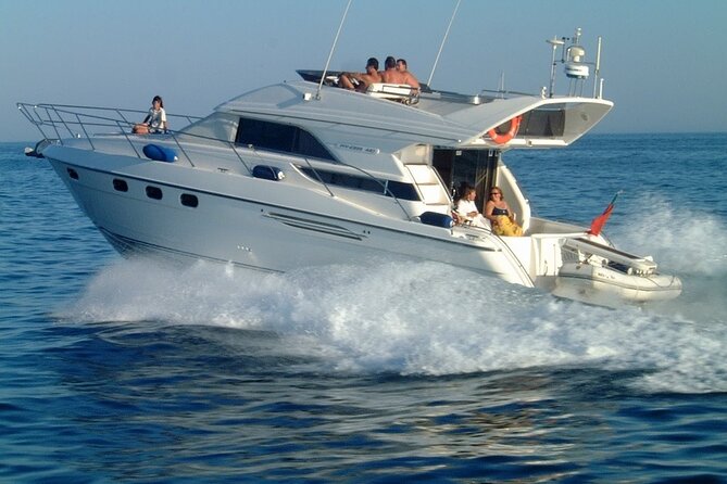 Whales and Dolphins Excursion on a Luxury Yacht in Canary Islands - Accessibility and Recommendations