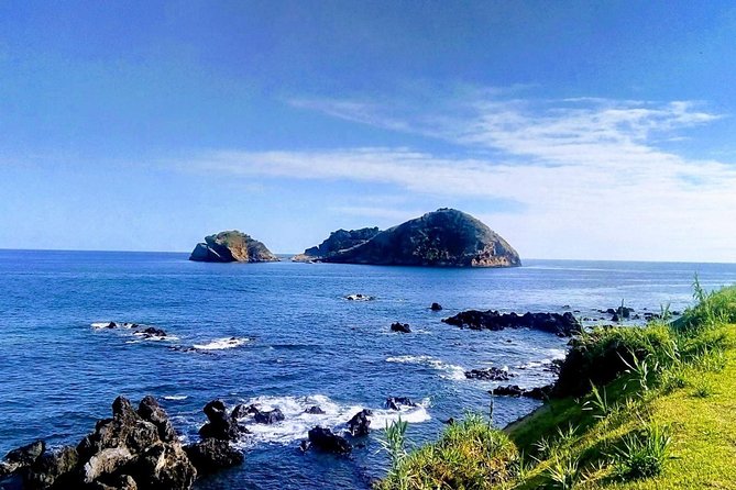Whales and Dolphins + Vila Franca Islet (Full Day With Lunch) - Highlights of the Marine Life