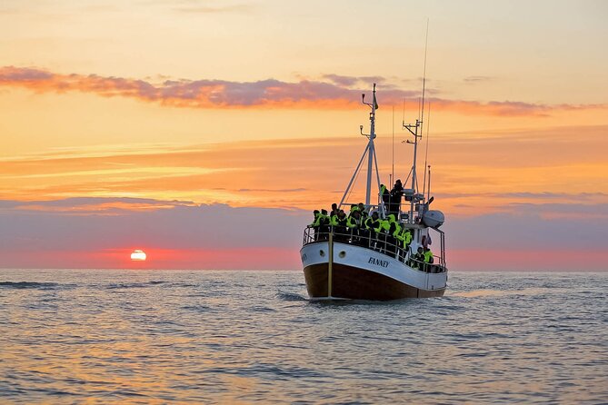 Whales and Puffins Tour From Husavik - Inclusions