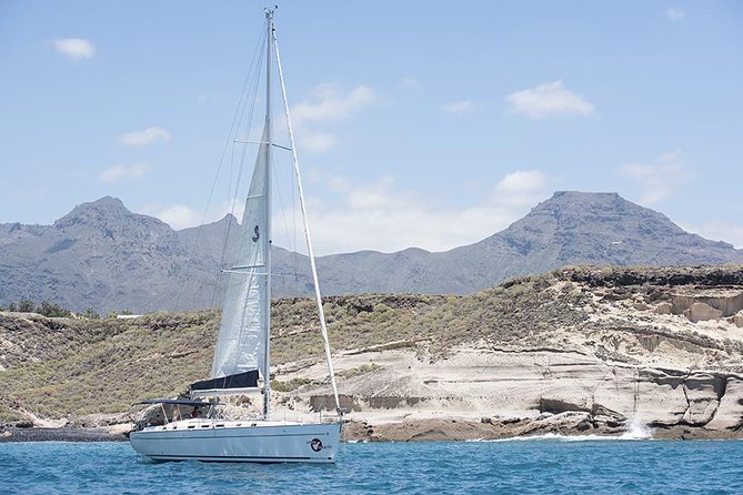 Whales & Dolphins Watching in Exclusive Sailboat - Traveler Requirements