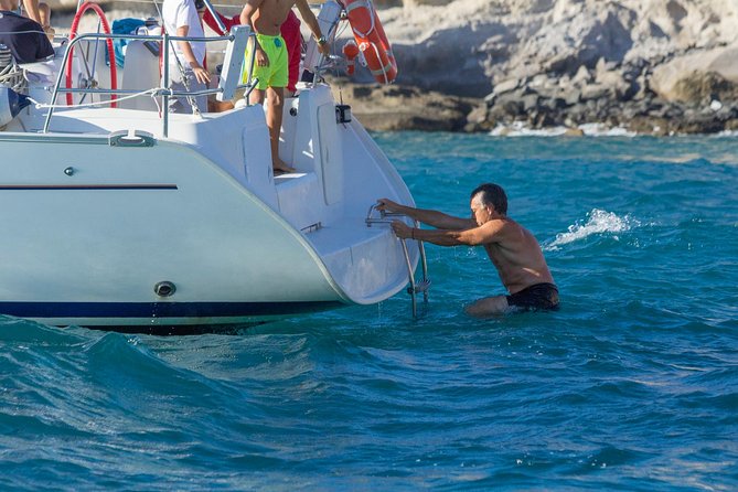 Whales & Dolphins Watching in Exclusive Sailboat - Sailing and Wildlife Viewing