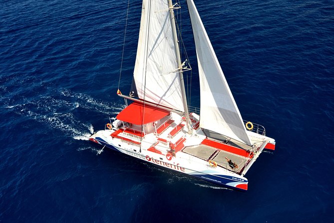 Whales Listening Eco-Catamaran Tour With Food Tasting - Inclusions and Amenities