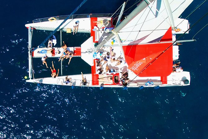 Whales Listening Eco-Catamaran Tour With Food Tasting - Meeting Point and Pickup