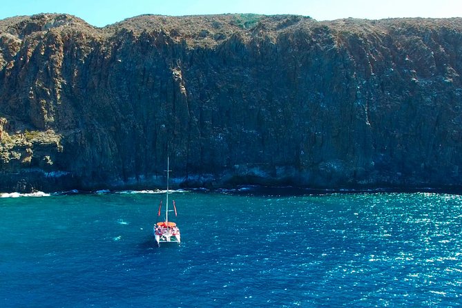 Whales Listening Eco-Catamaran Tour With Food Tasting - Additional Information