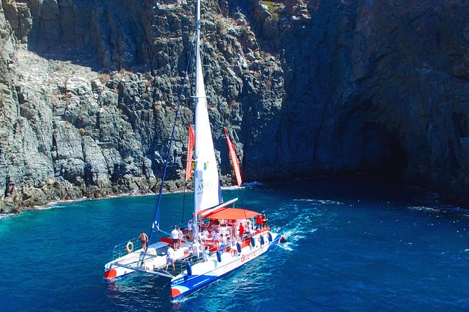 Whales Listening Eco-Catamaran Tour With Food Tasting - Whale and Dolphin Sighting