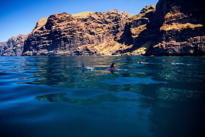 Whales Listening Eco-Catamaran Tour With Food Tasting - Sunbathing and Swimming