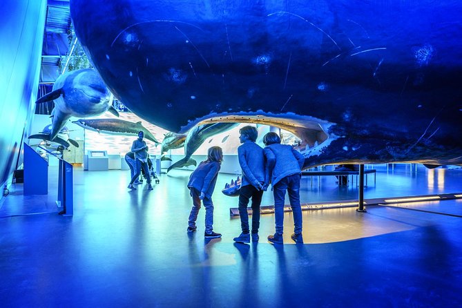 Whales Of Iceland Admission Ticket - Explore Life-Size Whale Models