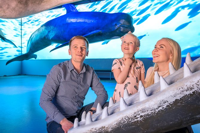 Whales Of Iceland Admission Ticket - Family-Friendly Educational Experience