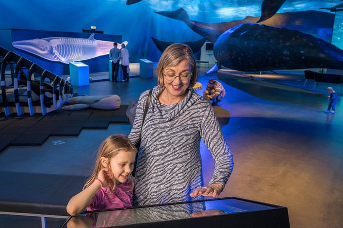 Whales Of Iceland Admission Ticket - Included Audio Guide and Tours