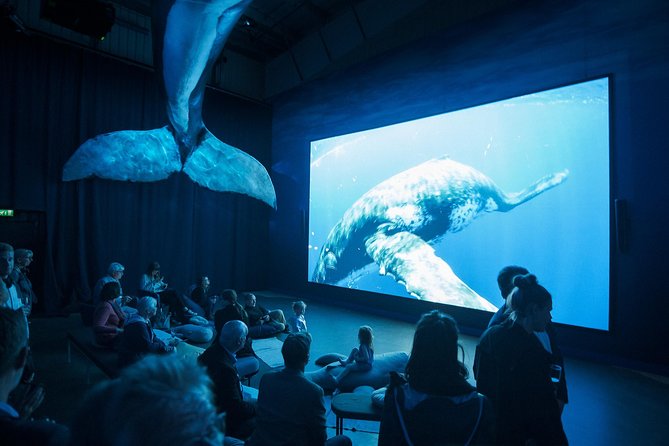 Whales of Iceland From Land and Sea - Customer Reviews and Feedback