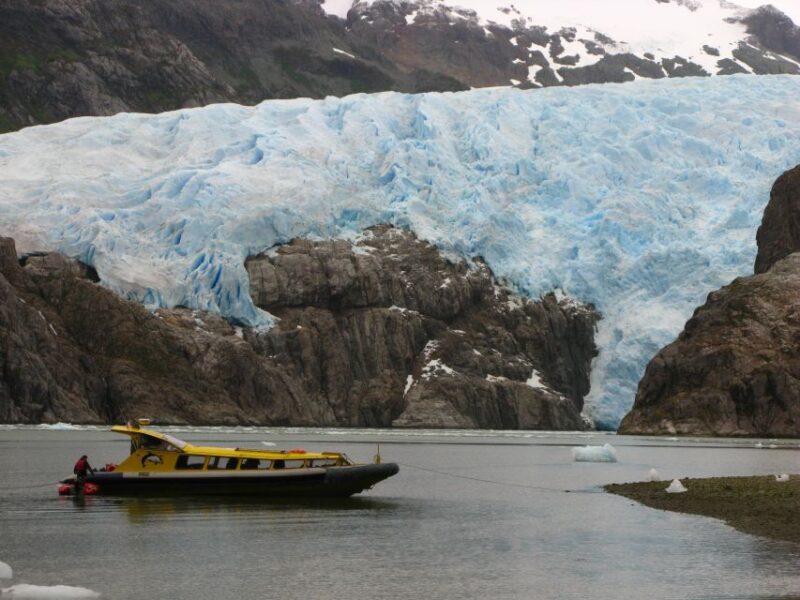 Whales, Penguins & Glaciers Navigation From Punta Arenas - Cruise Experience