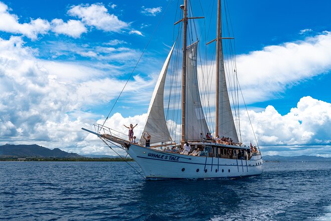 Whales Tale Day Cruise From Port Denarau - Health and Accessibility