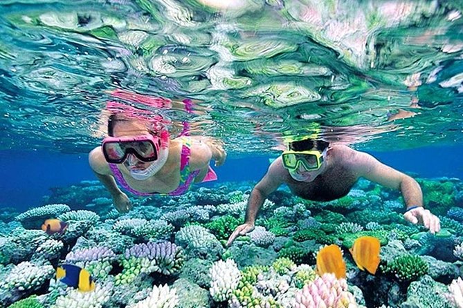 Whales Watching Mirissa Day Tour - Itinerary Highlights