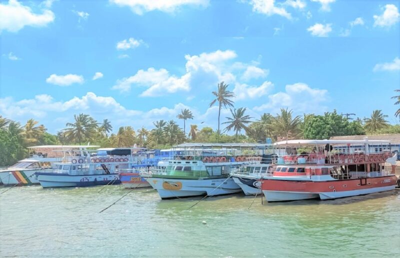 Whales Watching Tour Transfer - Galle, Unawatuna, Ahangama, - Transportation and Pickup