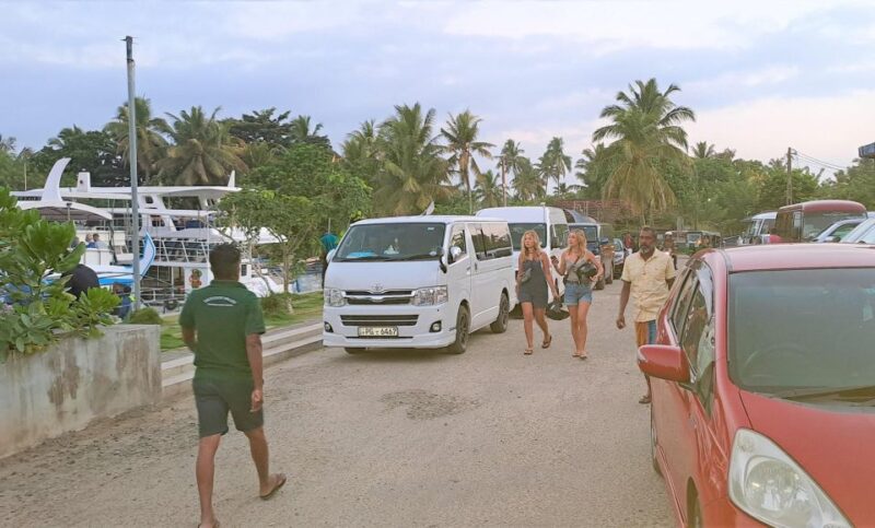 Whales Watching Tour Transfer - Galle, Unawatuna, Ahangama, - Customer Feedback and Recommendations