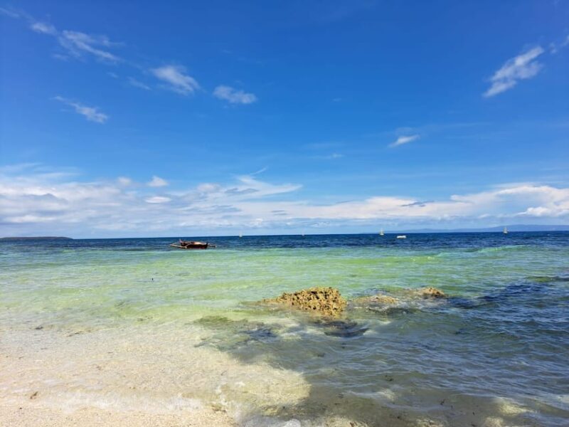 Whaleshark, Sumilon Is & Moalboal Sardine Snorkeling Tour - Highlights of the Tour