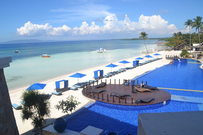 Whalesharks Interaction With Panglao Island Half Day Land Tour (Cebu or Bohol) - Whaleshark Interaction