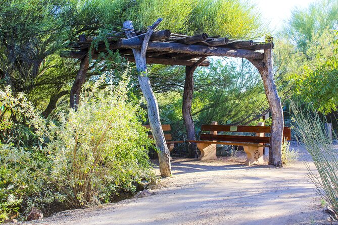 When Nature Calls - Exploring the Sonoran Desert - Taking in Tohono Oodham Culture