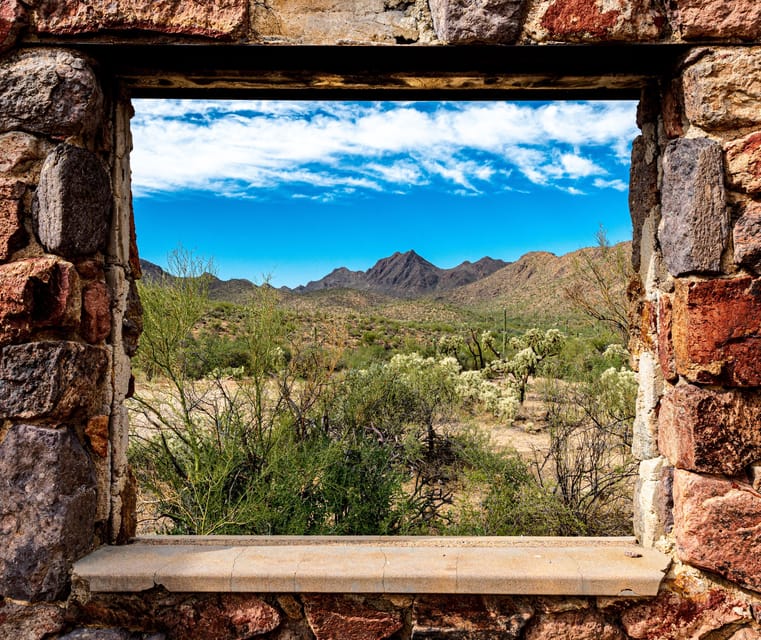 When Nature Calls; Monday - Flora and Fauna of Saguaro National Park