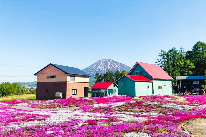 Wherever you want! 1-Day Private Tour from Sapporo to Furano more - The Reviews Speak Volumes