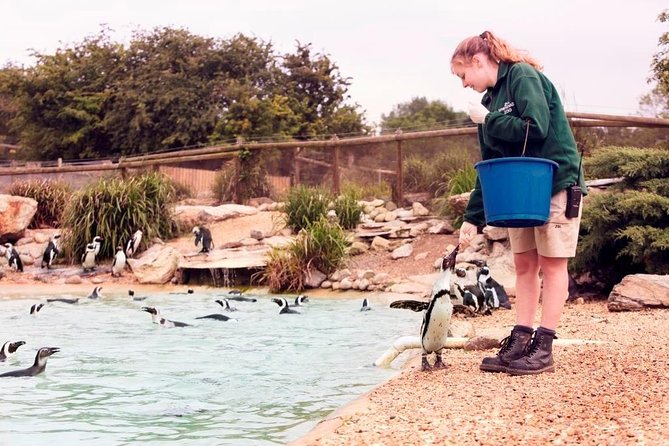 Whipsnade Zoo Entry Ticket - Overview of Whipsnade Zoo
