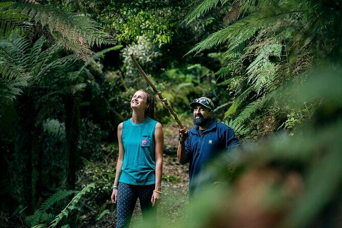 Whirinaki Forest Footsteps: Mori Guided Tour, Picnic & Transfer - An Overview of the Tour Experience