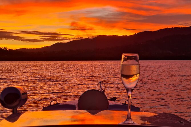 Whisper Cruises Turtle Spotting Sunset Cruise - Electric Boat - Included Amenities