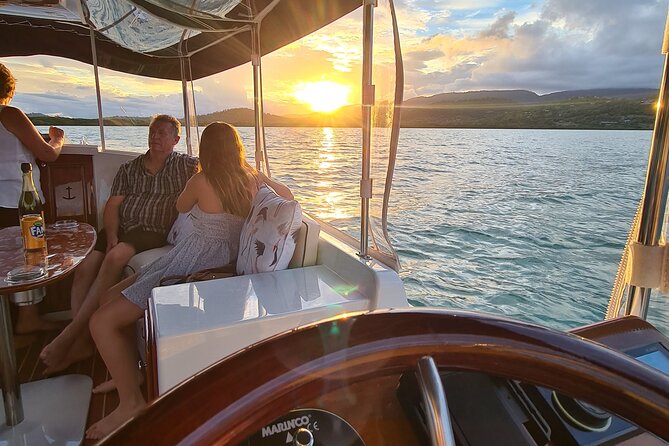 Whisper Cruises Turtle Spotting Sunset Cruise - Electric Boat - Turtle Spotting Expertise