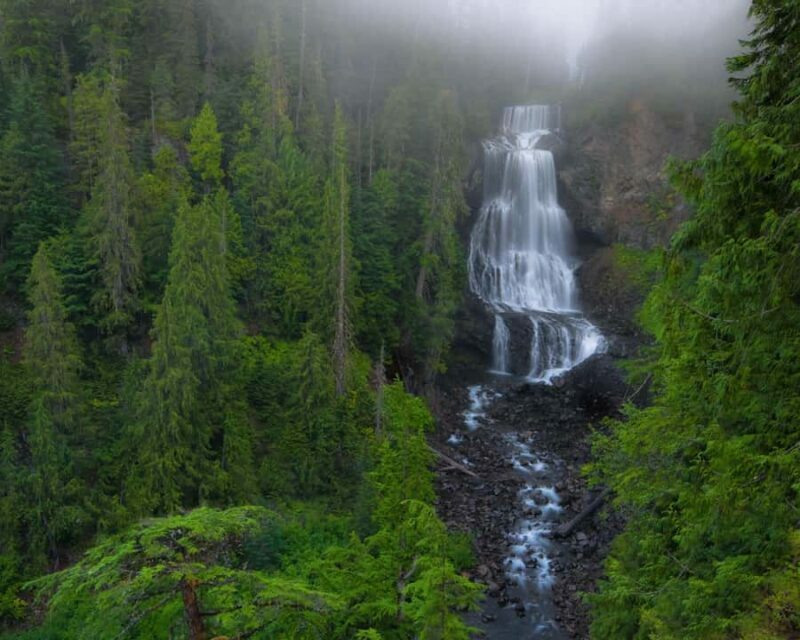 Whistler: Afternoon/Evening Bear Viewing Scenic Tour - The Scenic Stops That Impress