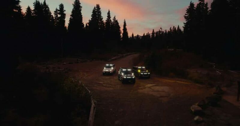 Whistler: Afternoon/Evening Bear Viewing Scenic Tour - The Guide Experience