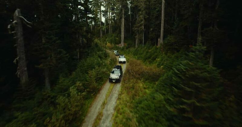 Whistler: Afternoon/Evening Bear Viewing Scenic Tour - Balancing Cost and Experience