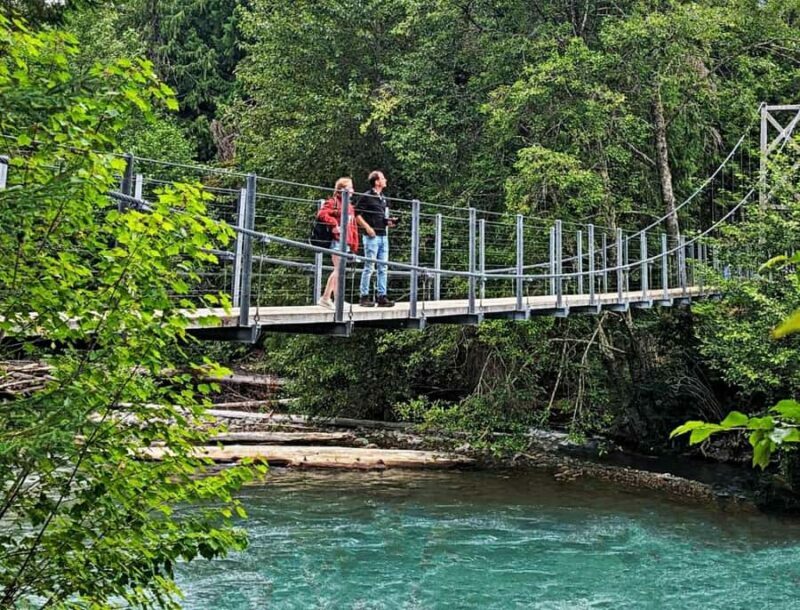 Whistler: Afternoon/Evening Bear Viewing Scenic Tour - Who Should Consider This Tour?