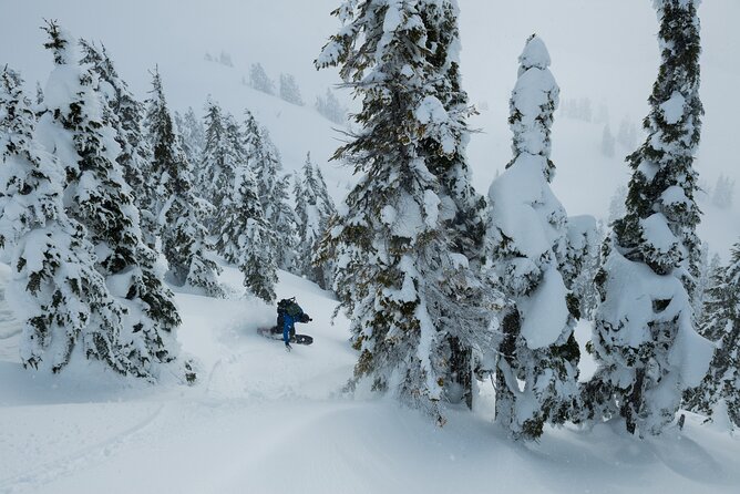 Whistler Backcountry Skiing and Splitboarding - Gear and Equipment Provided