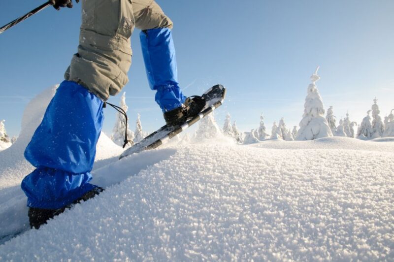 Whistler: Backcountry Snowshoeing Tour With Guide - Tour Highlights