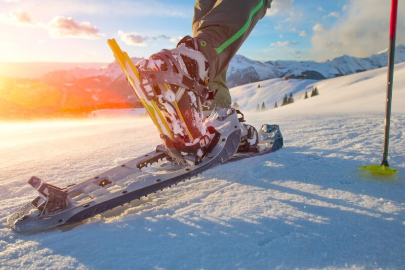 Whistler: Backcountry Snowshoeing Tour With Guide - Garibaldi Lake Snowshoe Hike