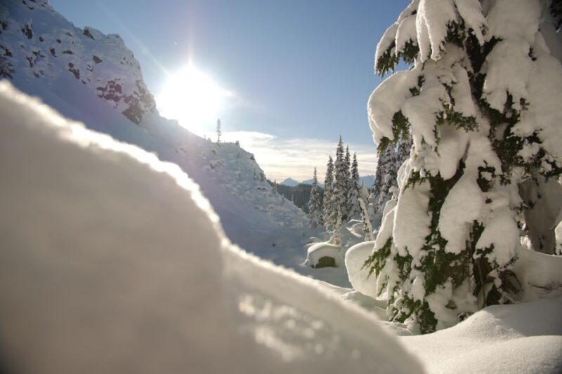 Whistler: Backcountry Snowshoeing Tour With Guide - Joffre Lakes Snowshoe Hike