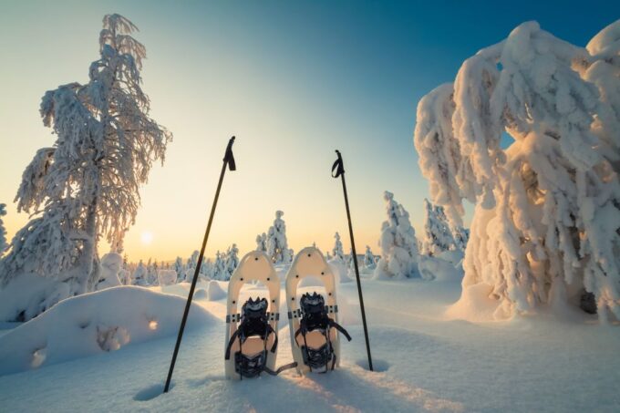 Whistler: Backcountry Snowshoeing Tour With Guide - Lava Lake Snowshoe Hike