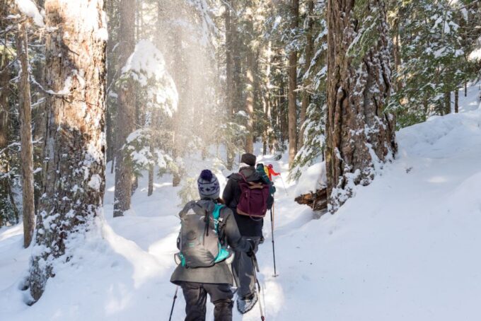 Whistler: Backcountry Snowshoeing Tour With Guide - Private Snowshoe Guide