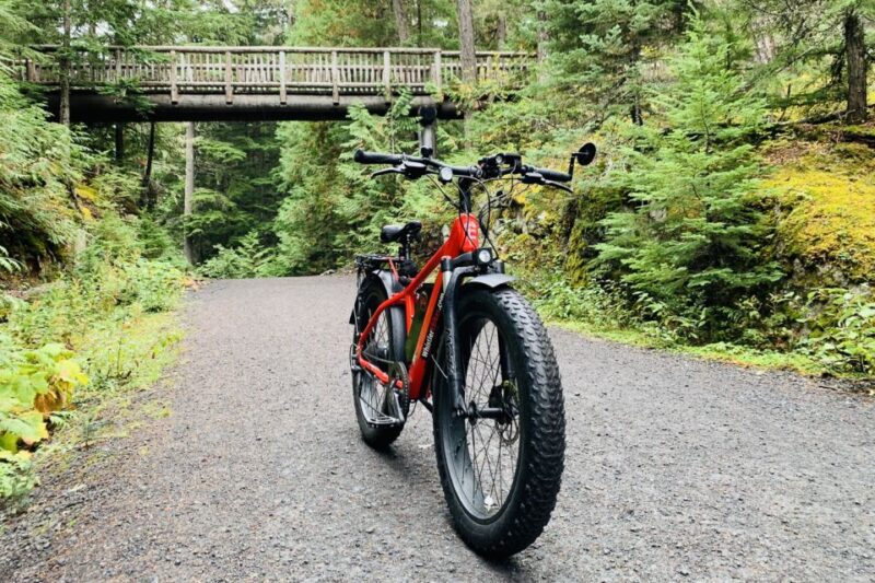 Whistler: Guided Ebike Adventure - Tour Highlights