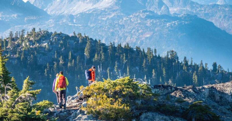 Whistler: Guided Wilderness Hike - Tour Details