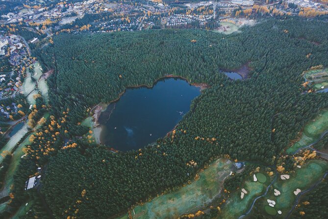 Whistler Helicopter Tour - Traveler Capacity