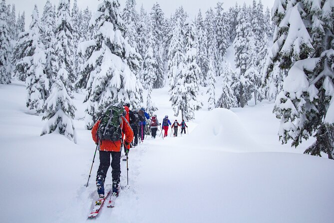 Whistler Intro to Backcountry Skiing and Splitboarding - Exploring Remote Beauty
